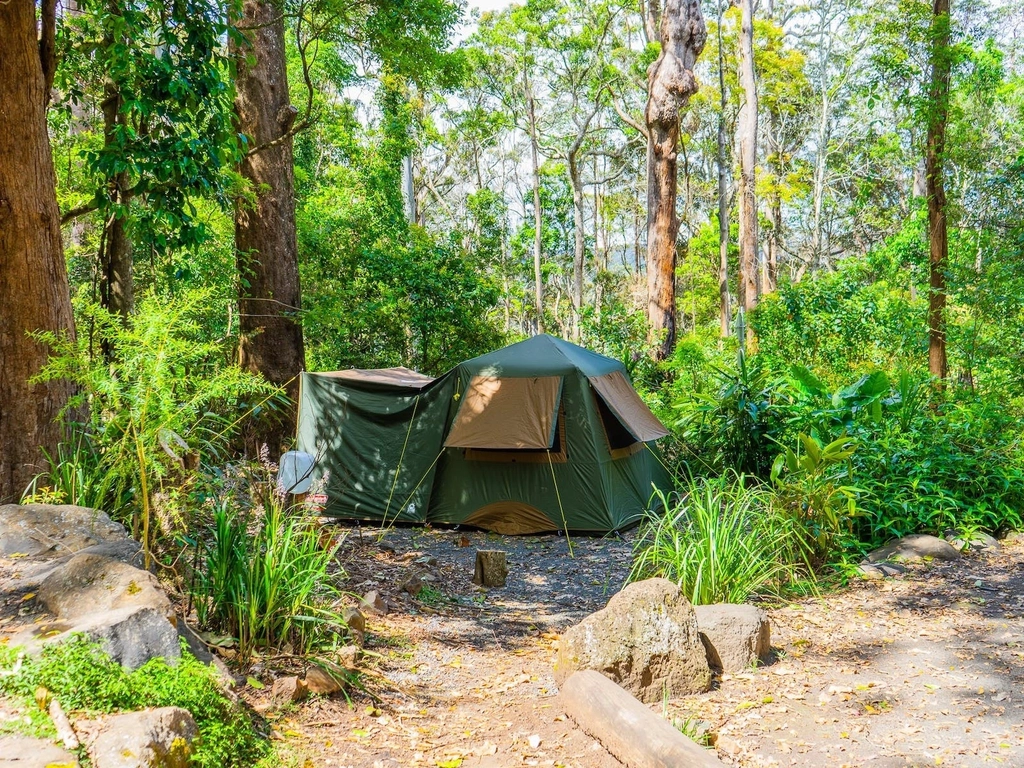 an image of a tent set up for camping at Binna Burra
