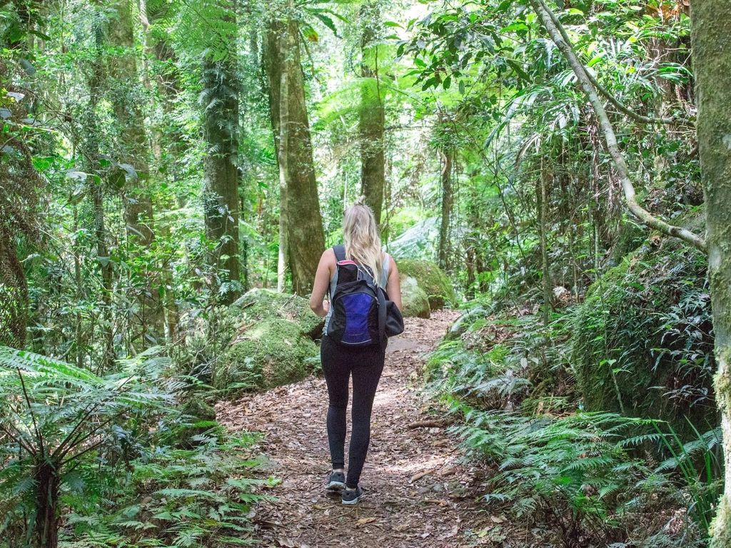 Hiking, Bushwalking