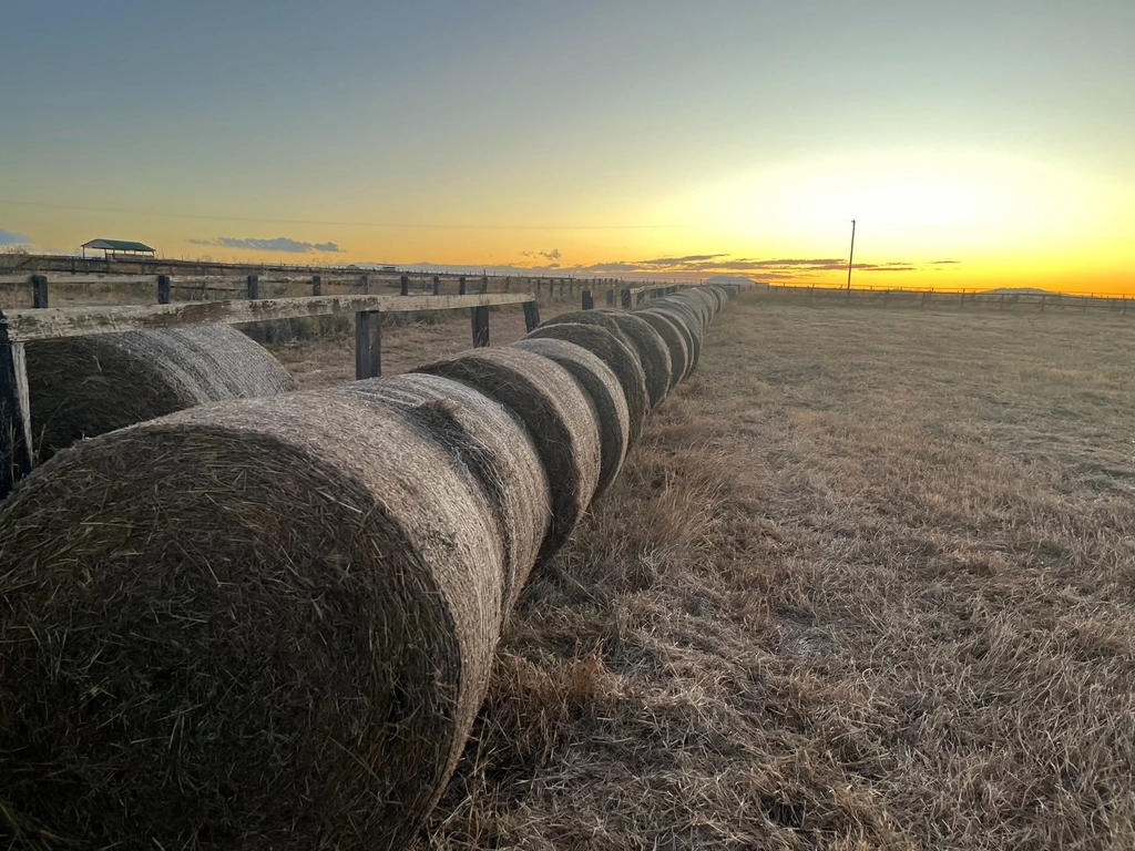 Scenic Rim Agricultural Expo Image 1