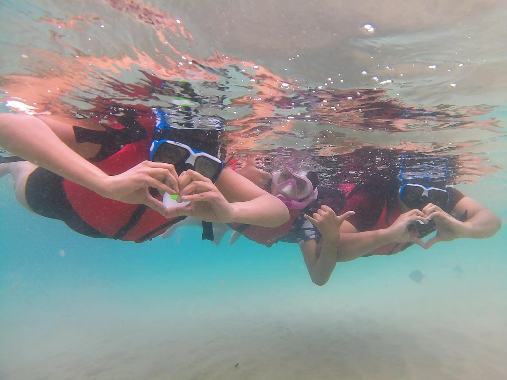Guests snorkelling underwater in the clear waters of the Gold Coast Broadwater near Wave Break