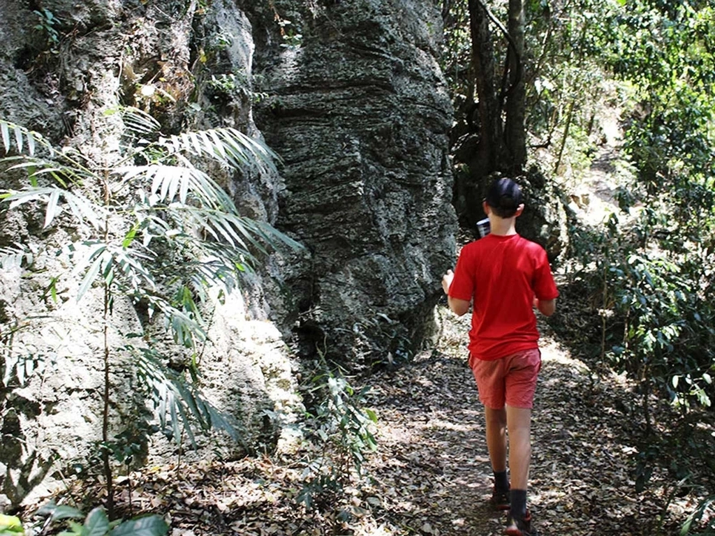 Gold Coast Hinterland