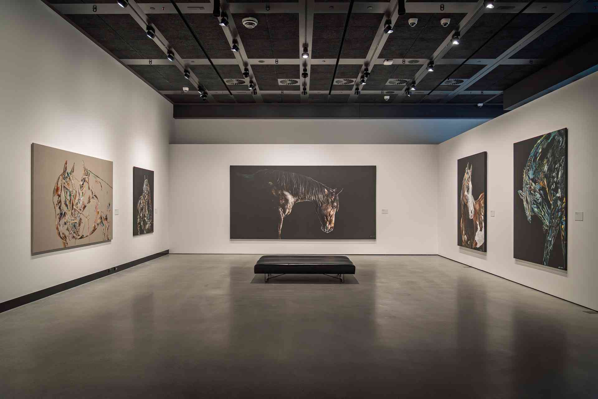 Nicole Slater Captures Equine Majesty at HOTA