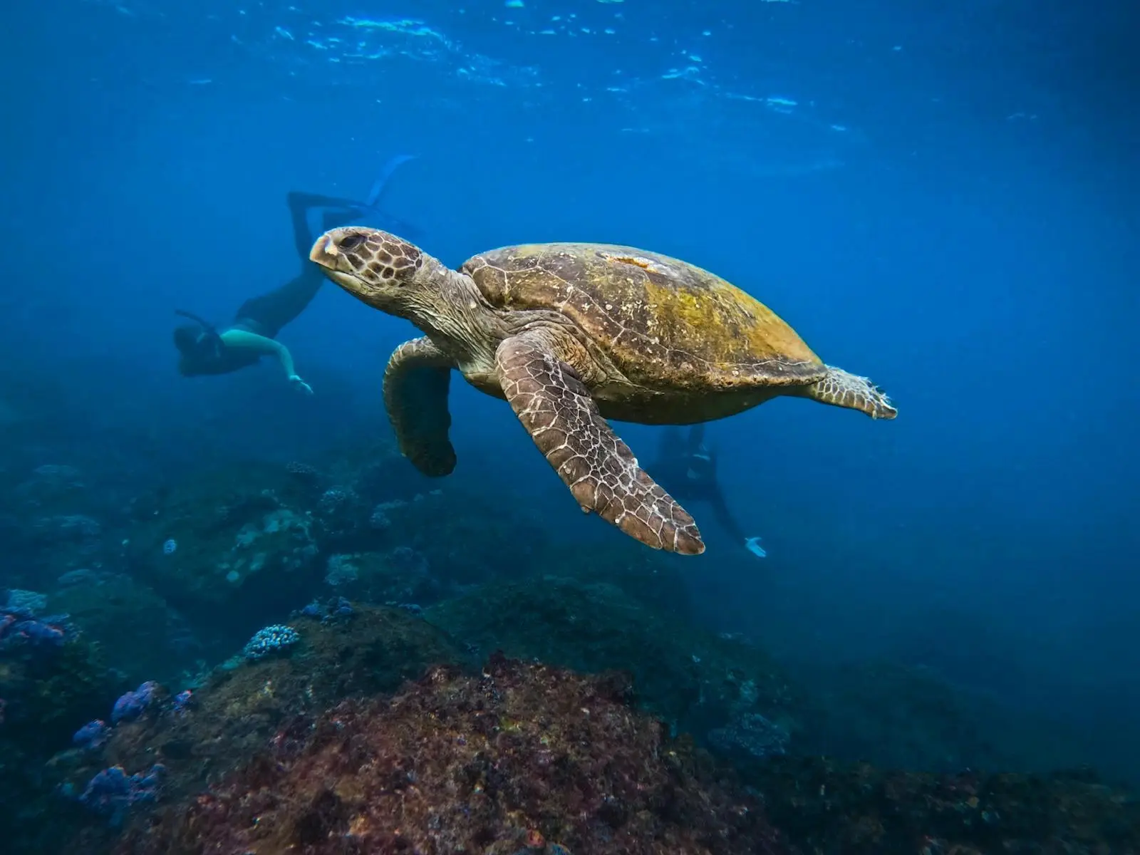 Book for 3 or more and get 10% off.