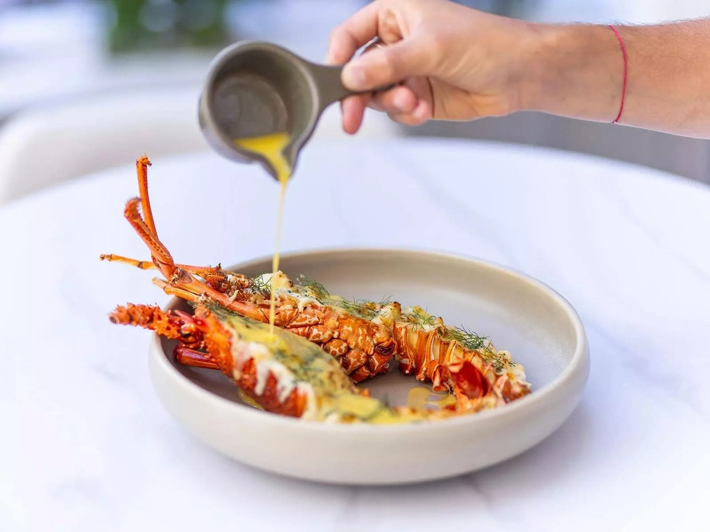 Western Austalian Rock Lobster at BLOWFISH