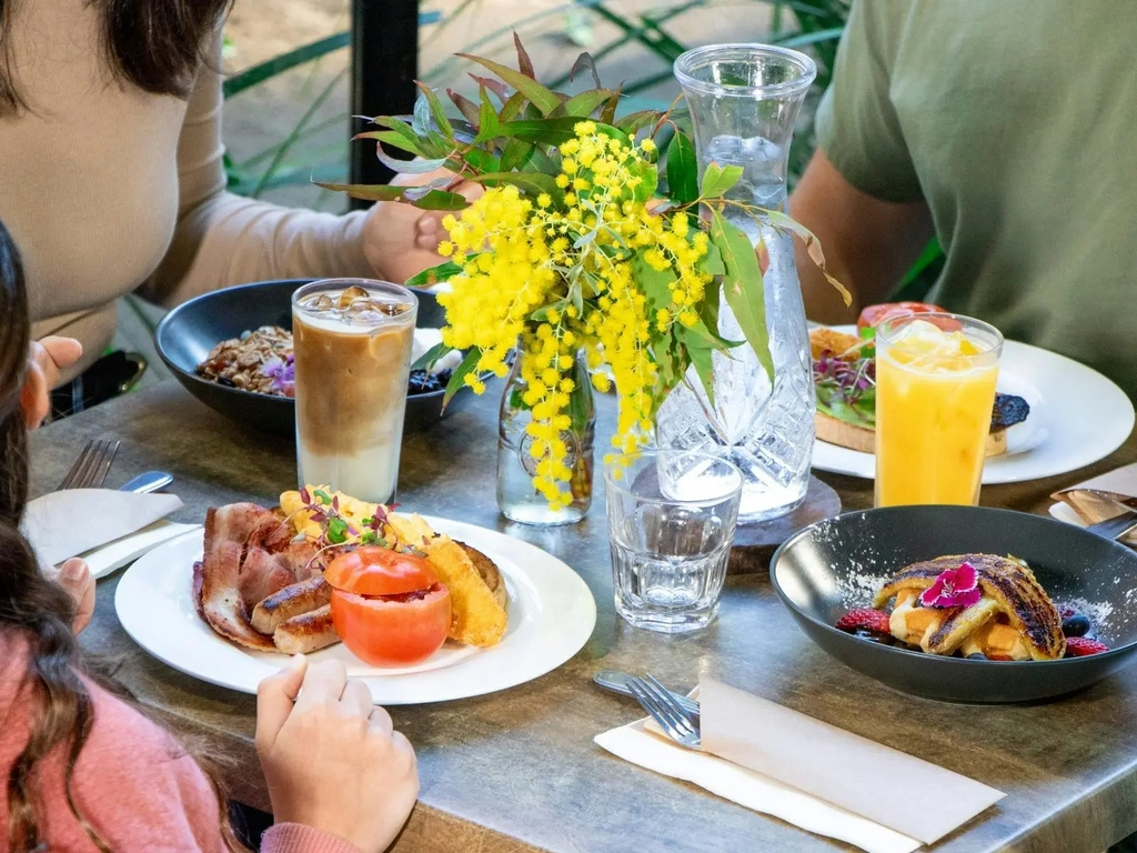 Koala Breakfast at Currumbin Wildlife Sanctuary Image 2