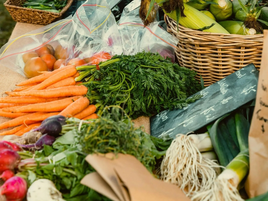 Fermented Food Festival Image 9