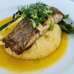 barramundi