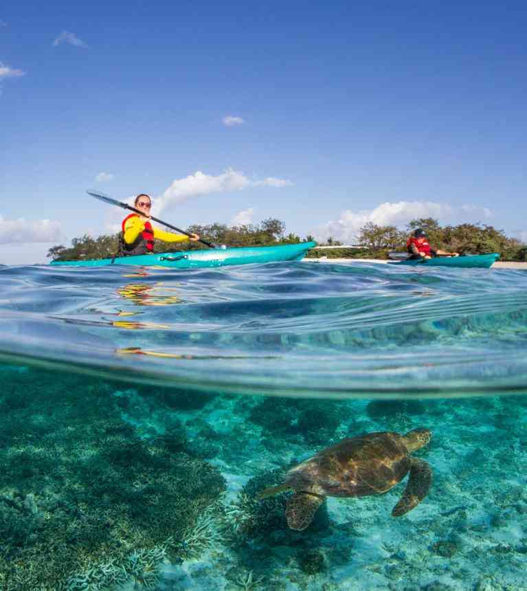 Lady Elliott Island Eco Resort