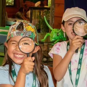 Currumbin Wildlife Sanctuary School Holiday Programs Image 1