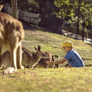Currumbin Wildlife Sanctuary