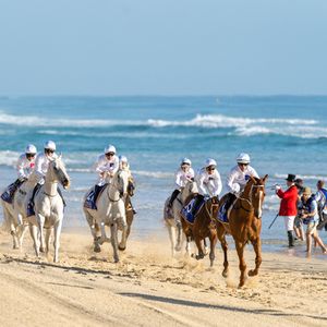Magic Millions Barrier Draw 2023