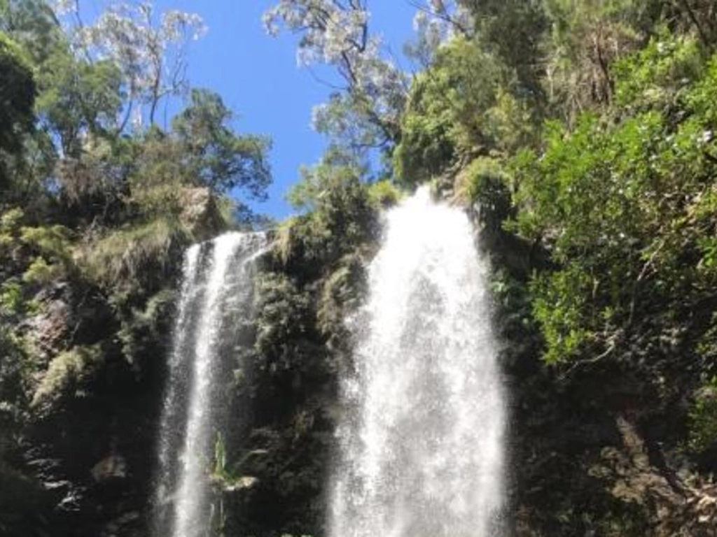 Purlingbrook Falls Gwongorella