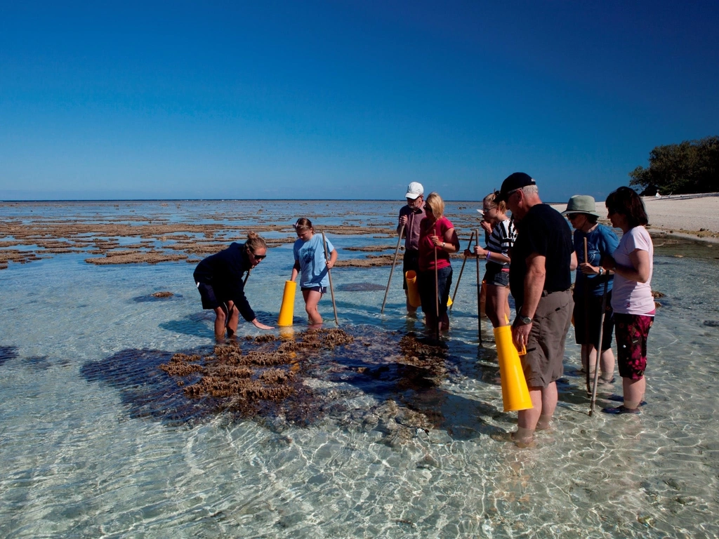 Lady Elliot Island Eco Resort