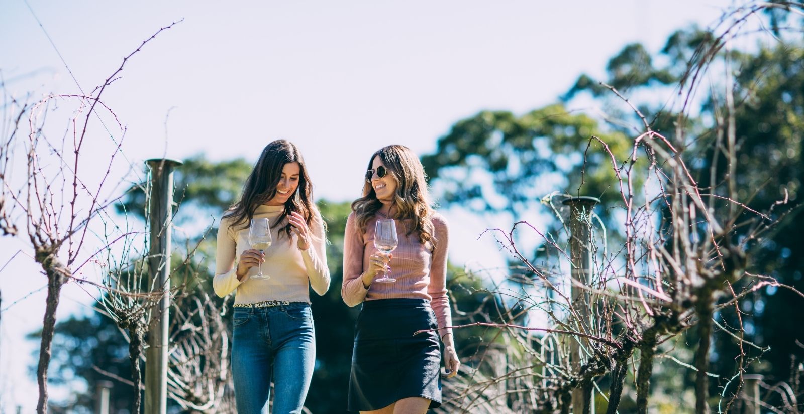 Gold Coast Wineries You Need To Visit Destination Gold Coast