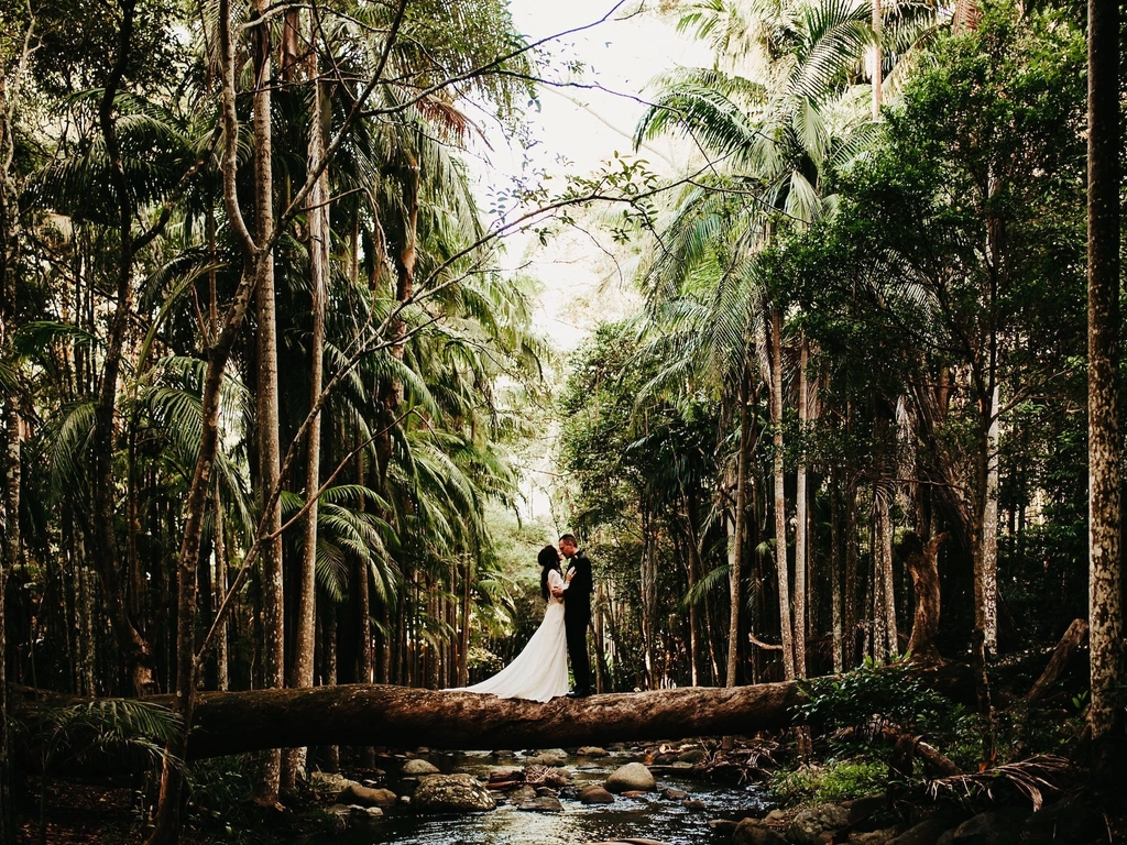 Rainforest Wedding