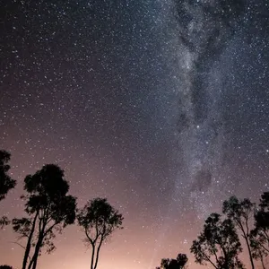 First Nations Astronomy Walks Image 1