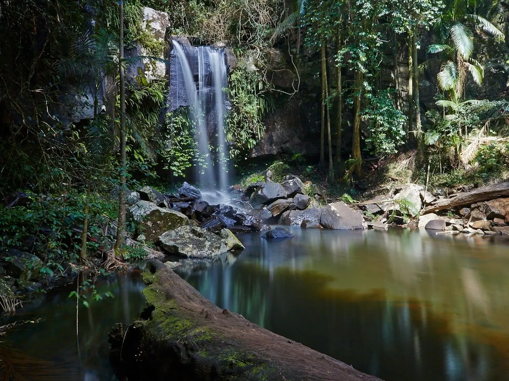 Waterfall cascading into a rainforest pool.