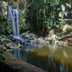 Waterfall cascading into a rainforest pool.