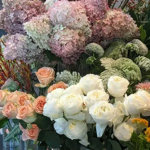 Bountiful flower bar in Currumbin