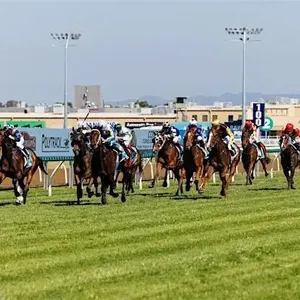 Aquis Park Raceday Image 1