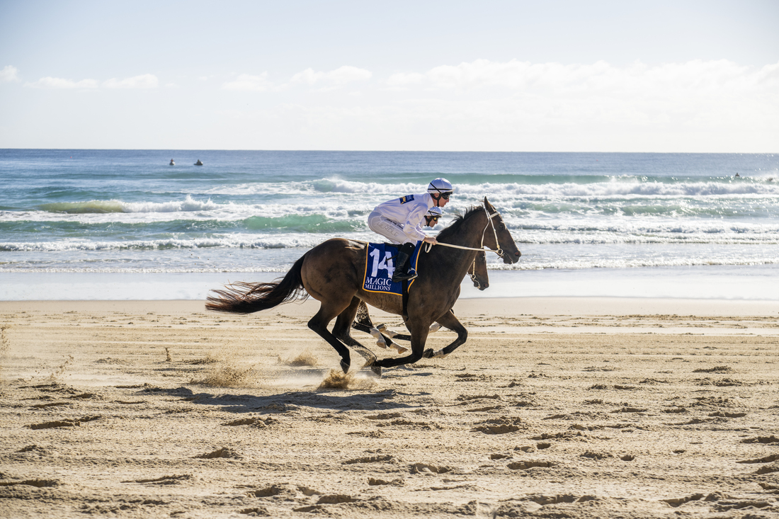 Magic Millions Race