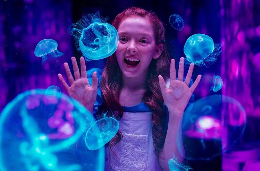 CHECK OUT WHAT’S NEW AT OUR THEME PARKS
