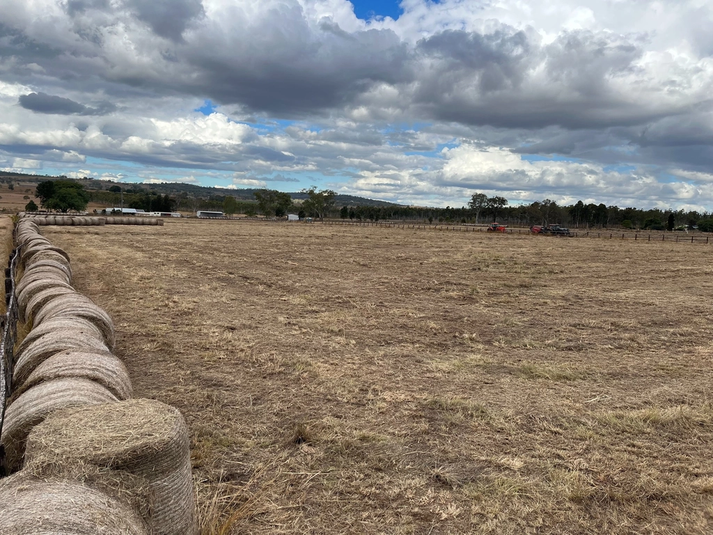 Scenic Rim Agricultural Expo Image 3