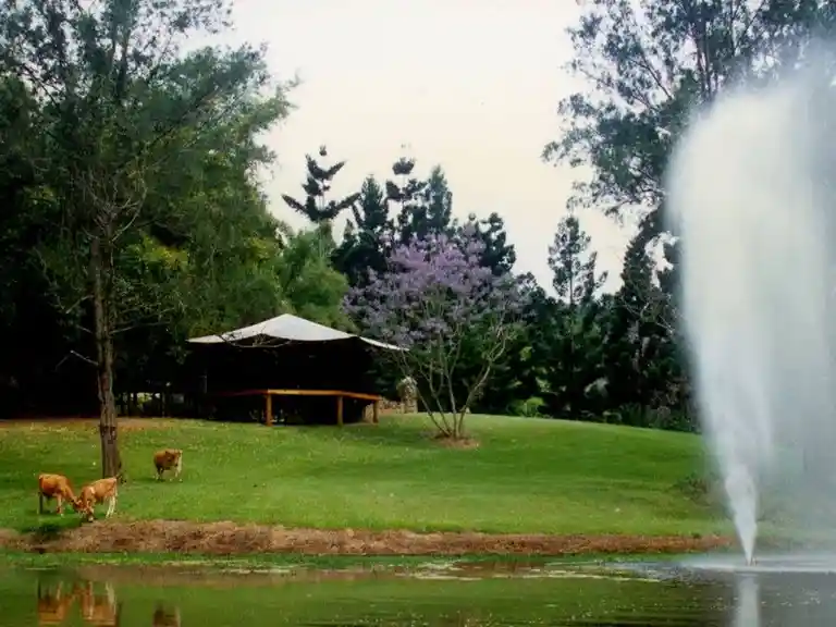 Tallebudgera Veg Sanctuary