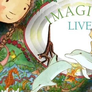 IMAGINE LIVE Image 1