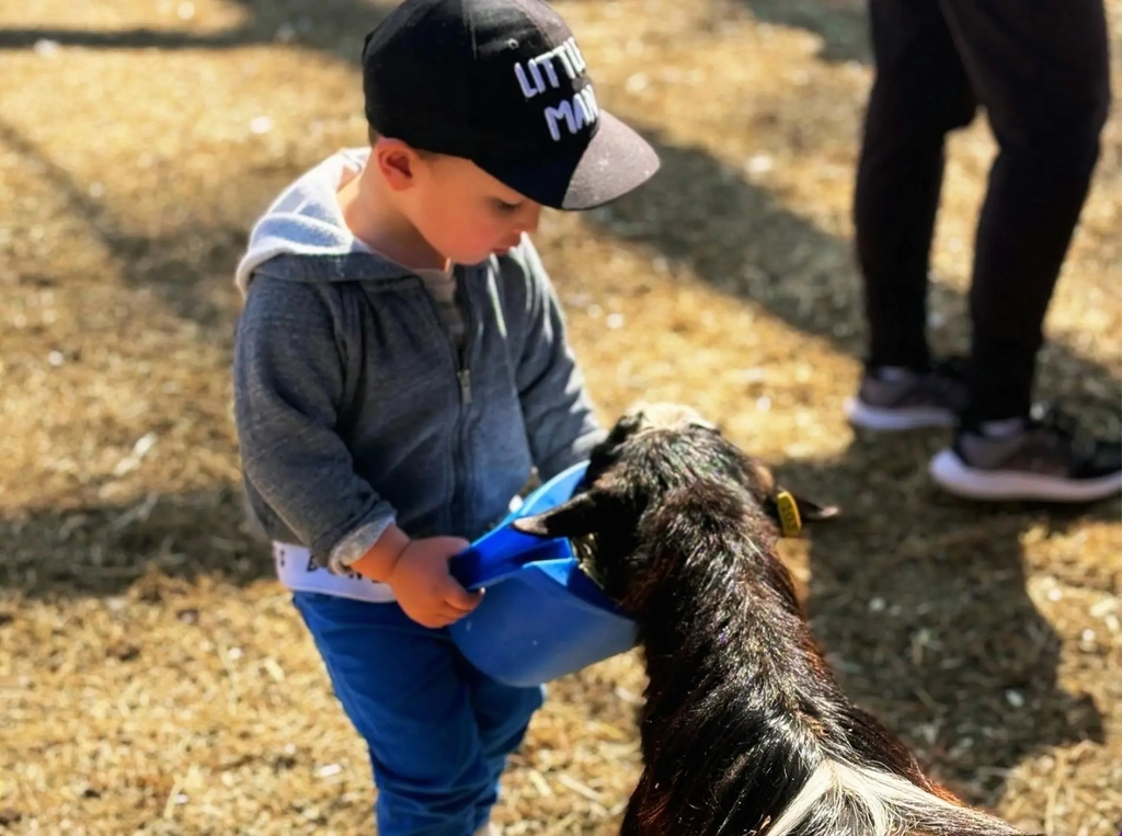 Harrisville Sunday Farm Day Image 2