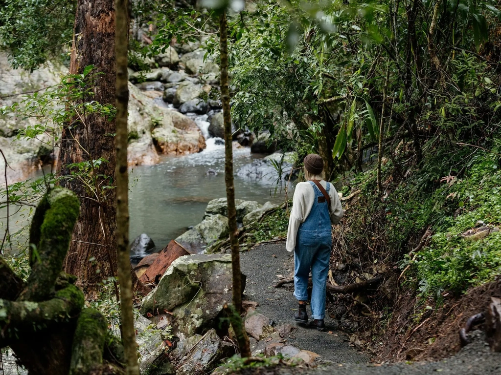 Cedar Creek at Tamborine Mountain Glades