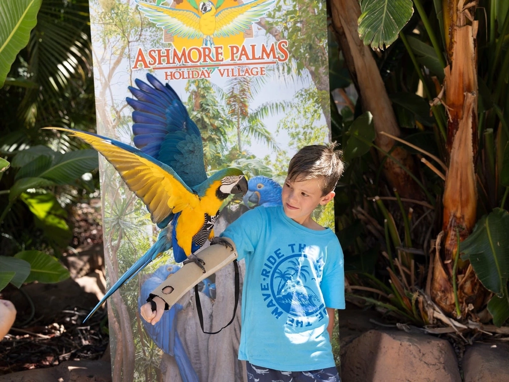 School Holiday Activities at Ashmore Palms Holiday Village on the Gold Coast