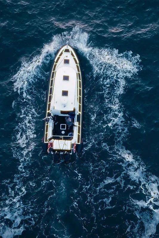 DON'T BE PREY Image 1