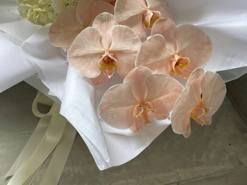 Our signature SOFT. bouquet