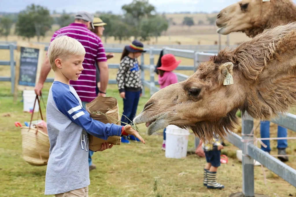 Little Farmer Humpty Day - Kids Event Image 2