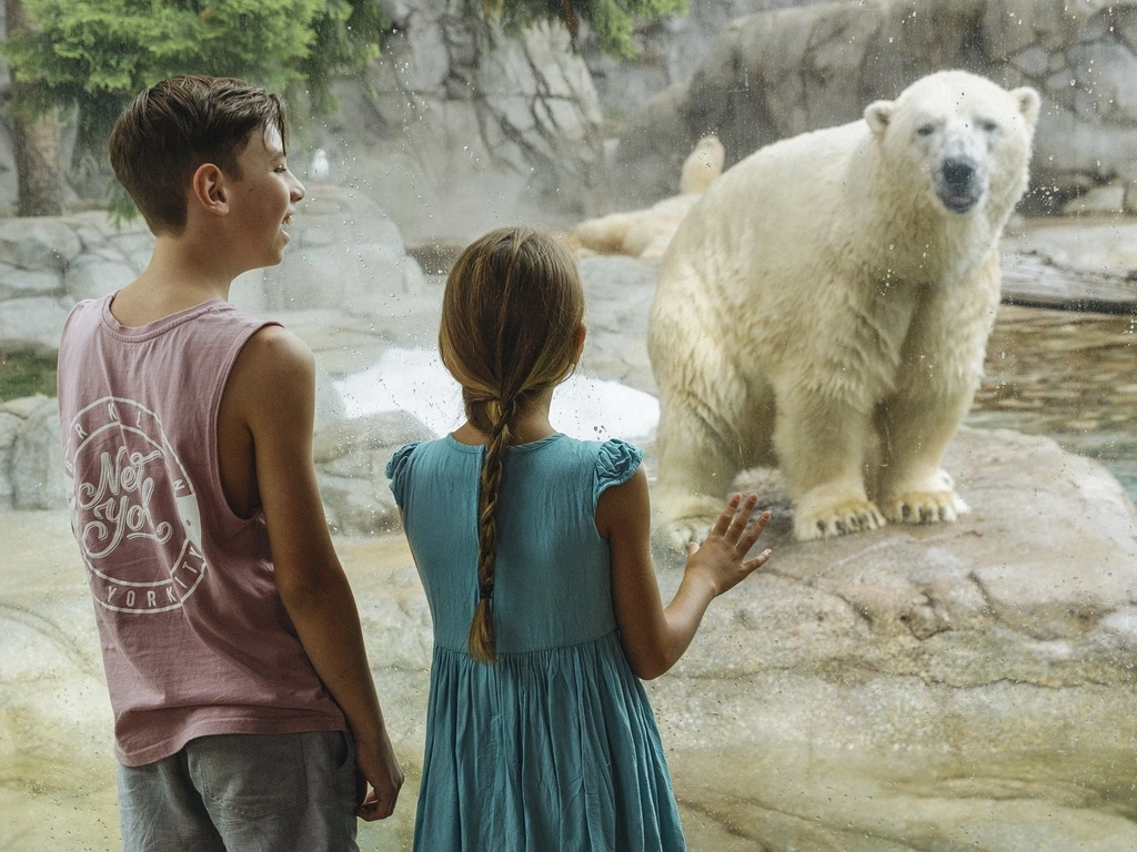 Polar Bear Exhibit