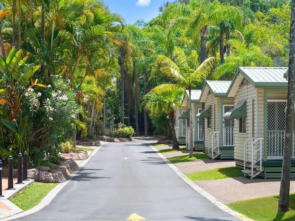 A tropical tree lined street showing the entry to some cabins