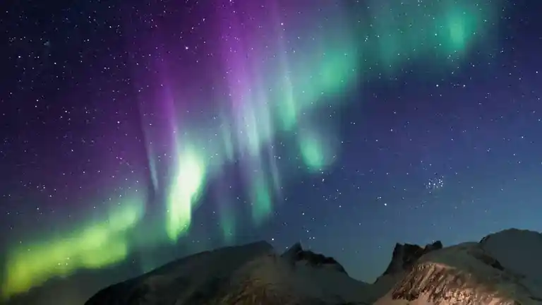 The Cosmos Image 1