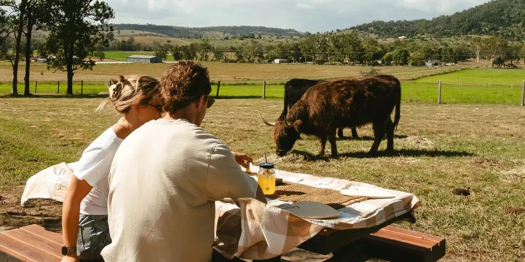 Farm Picnic with Highland Cattle Image 1
