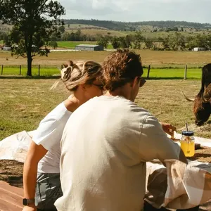 Farm Picnic with Highland Cattle Image 1