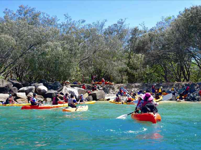 Seaway Kayaking Tours Destination Gold Coast