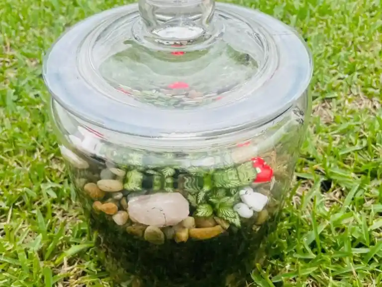 Learn to create your own terrarium - Mount Tamborine Sip 'n' Dip Image 3