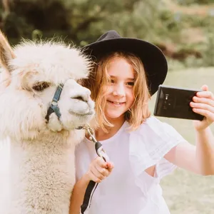 @ Mountview Alpaca Farm