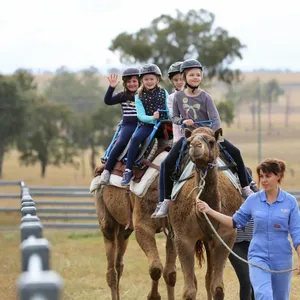 Little Farmer Humpty Day - Kids Event Image 1