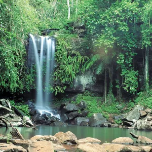 Waterfalls cascading into pool, Tamborine National Park