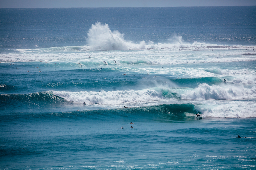Surfer