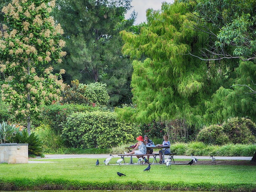 botanical gardens picnic spot