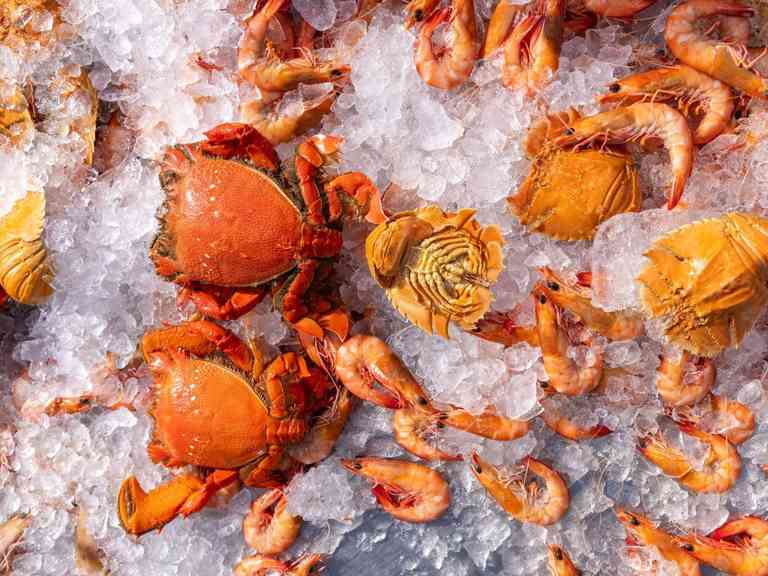 Gold Coast Fishermen's Coop Destination Gold Coast