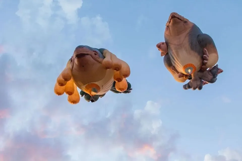 First Light | Skywhales Across Australia Image 1