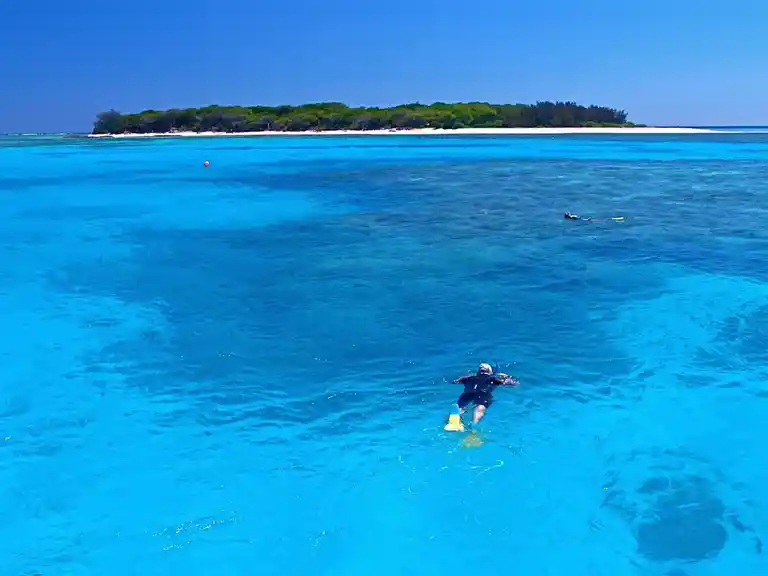 Lady Musgrave Island, Queensland